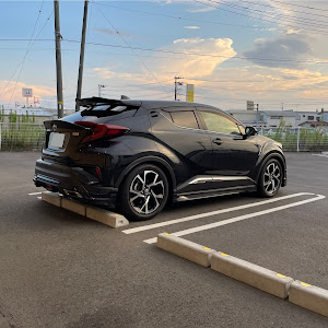 C-HR ZYX10