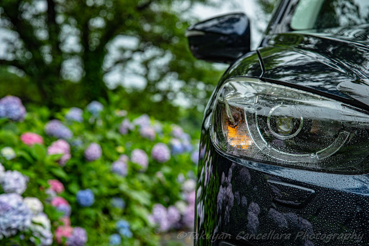 CX-5のカメラ好きな人と繋がりたい・写真が好きな人と繋がりたい・CX-5・マツダ・あじさいに関するカスタム事例の投稿画像3枚目