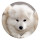 Cute dog pop pet HD new tab page theme