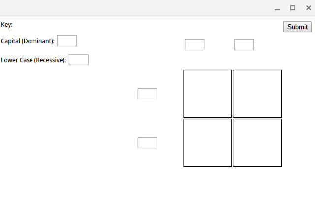 punnett square template