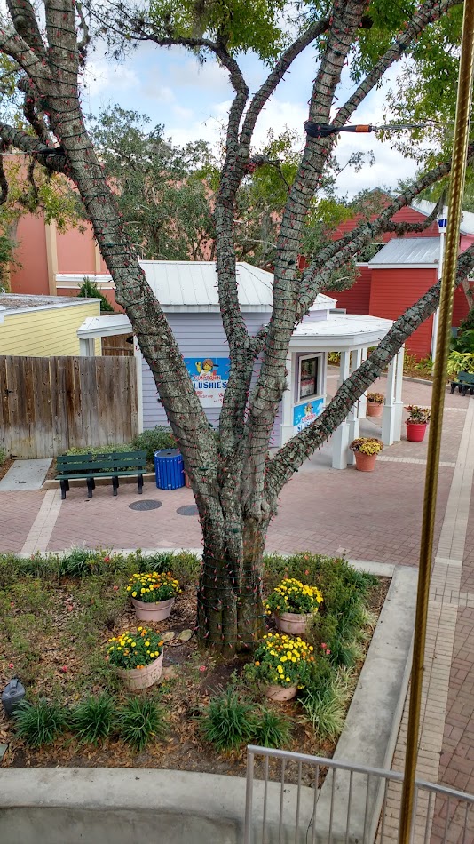 This was during the day, however all the trees in Fun Town and Beginning Area are fully covered in wonderful Christmas Lights.