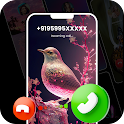 Color Phone Call Screen Theme