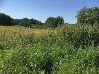 terrain à Nanteuil-lès-Meaux (77)