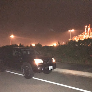 ハイラックスサーフ TRN215W