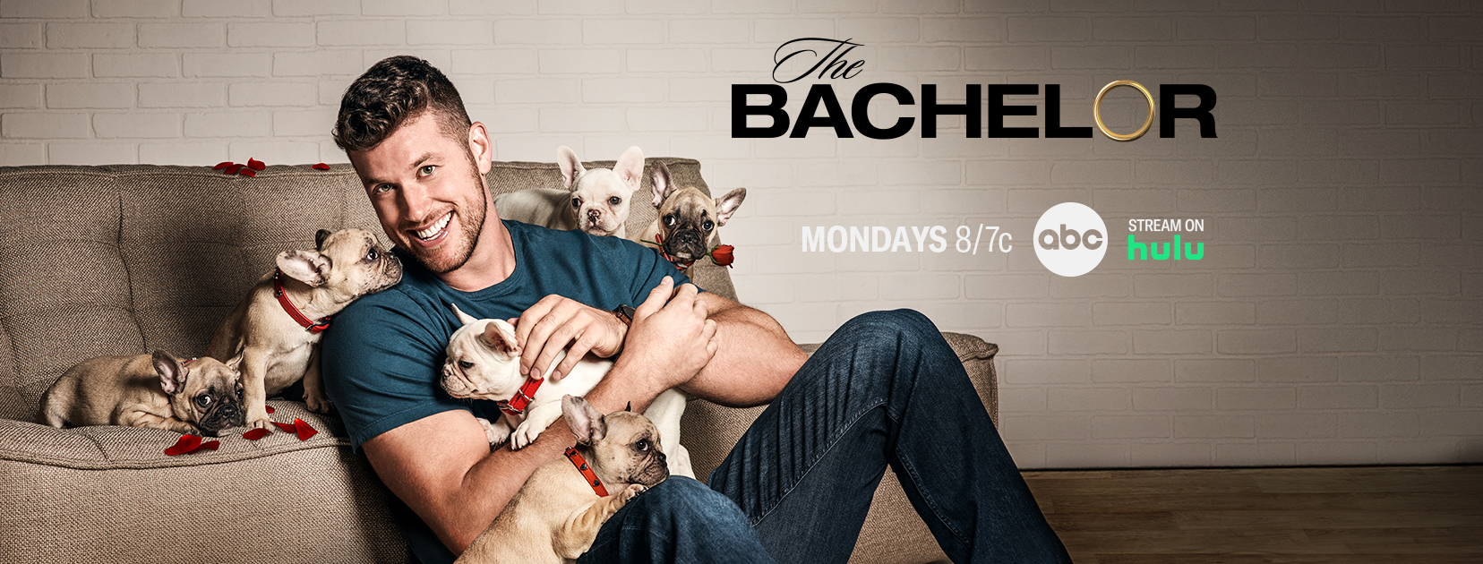 The Bachelor: Clayton Echard