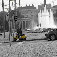 yellow wien di 