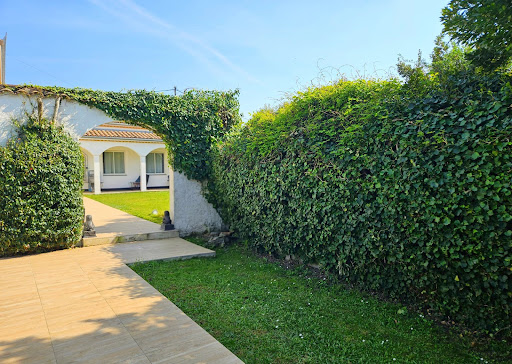 House with pool 2