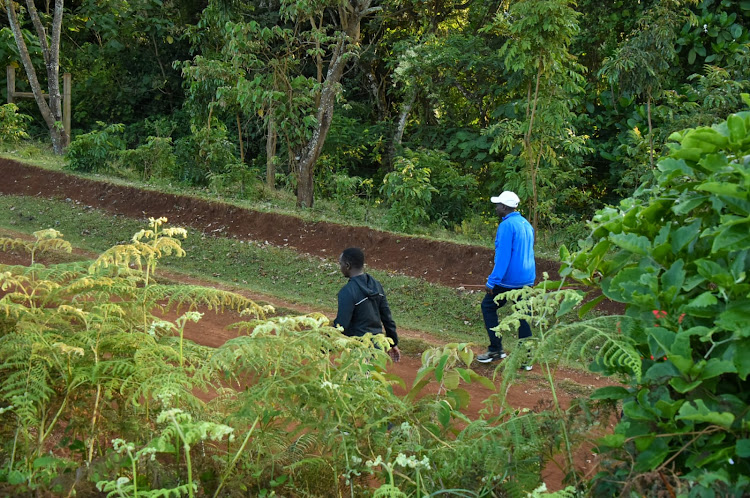 Deputy President Rigathi Gachagua in takes a walk in Meru forest on June 10, 2023.