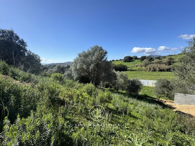 Vente terrain à batir  735.1 m² à Afa (20167), 231 000 €