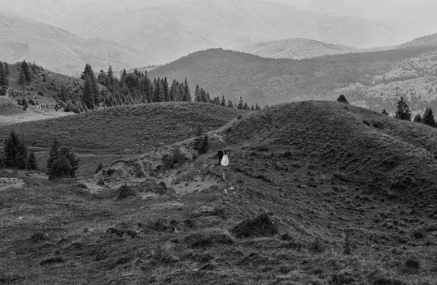 Düğün fotoğrafçısı Marius Stoica (mariusstoica). 20 Aralık 2016 fotoları