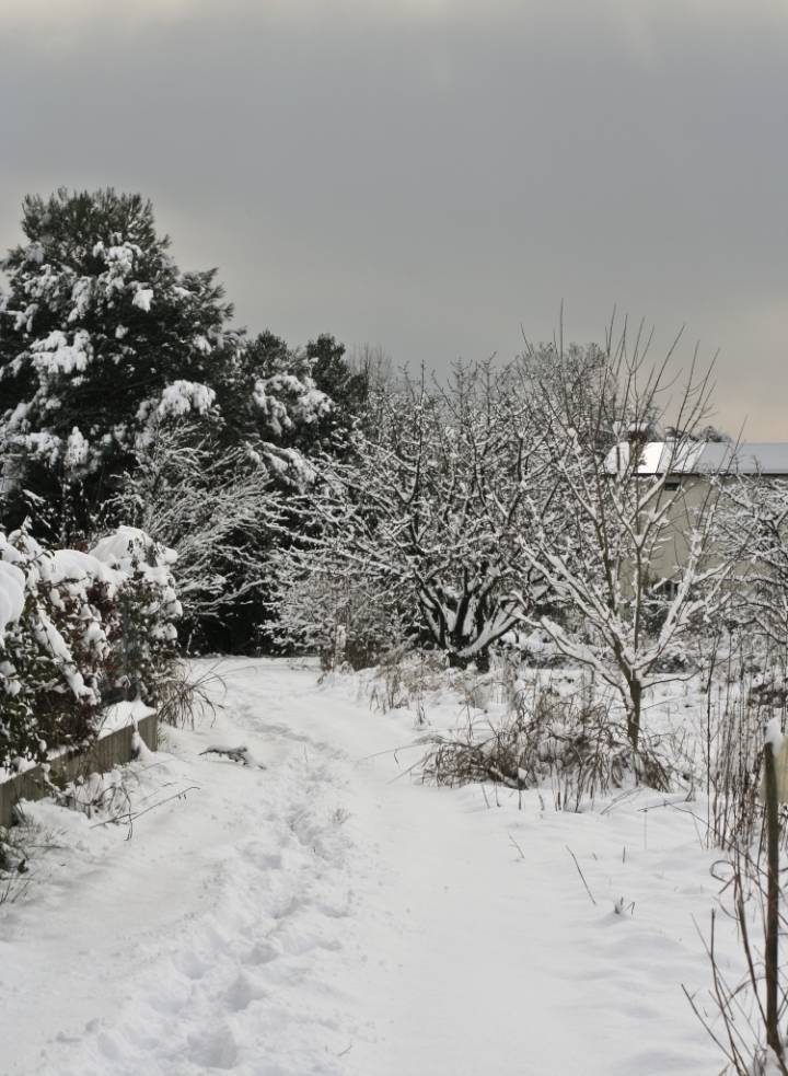 Passeggiata invernale di fatamorgana33