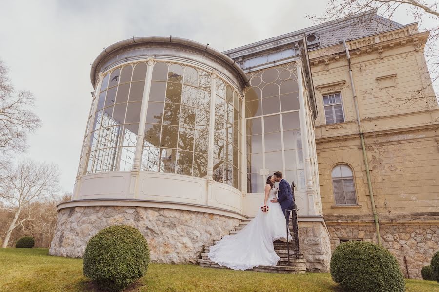 Wedding photographer Tamás Józsa (jozsatamasafotos). Photo of 17 March 2020