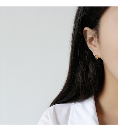 Title 6, Geometric Oval Stud Earrings For Women. These e...