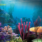 Item logo image for Coral Reef