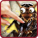 تنزيل Bug smasher التثبيت أحدث APK تنزيل