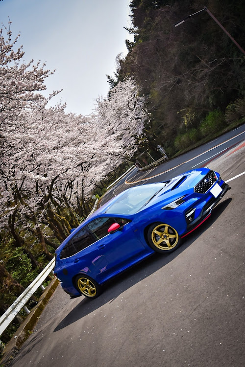 レヴォーグの桜とコラボ🌸・サクラと愛車・レヴォーグ・ドライブ・桜に関するカスタム事例の投稿画像1枚目