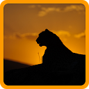 Descargar la aplicación Animal Kingdom Quiz Instalar Más reciente APK descargador