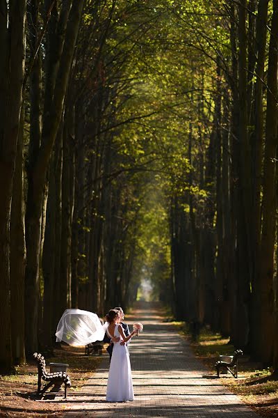 Svadobný fotograf Aleksandra Bozhok (sashkab). Fotografia publikovaná 14. mája 2016