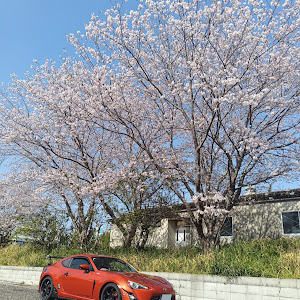 86 ZN6