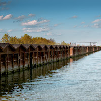 Nella laguna di 