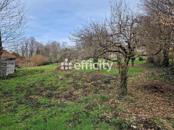 terrain à Uzerche (19)