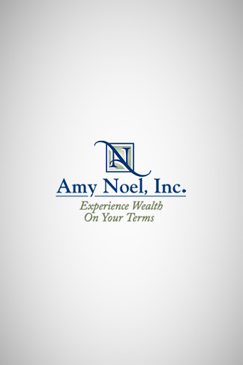 Amy Noel Inc.