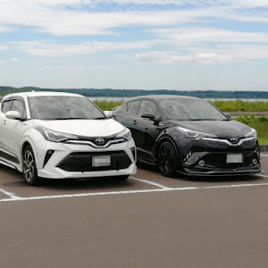 C-HR ZYX10