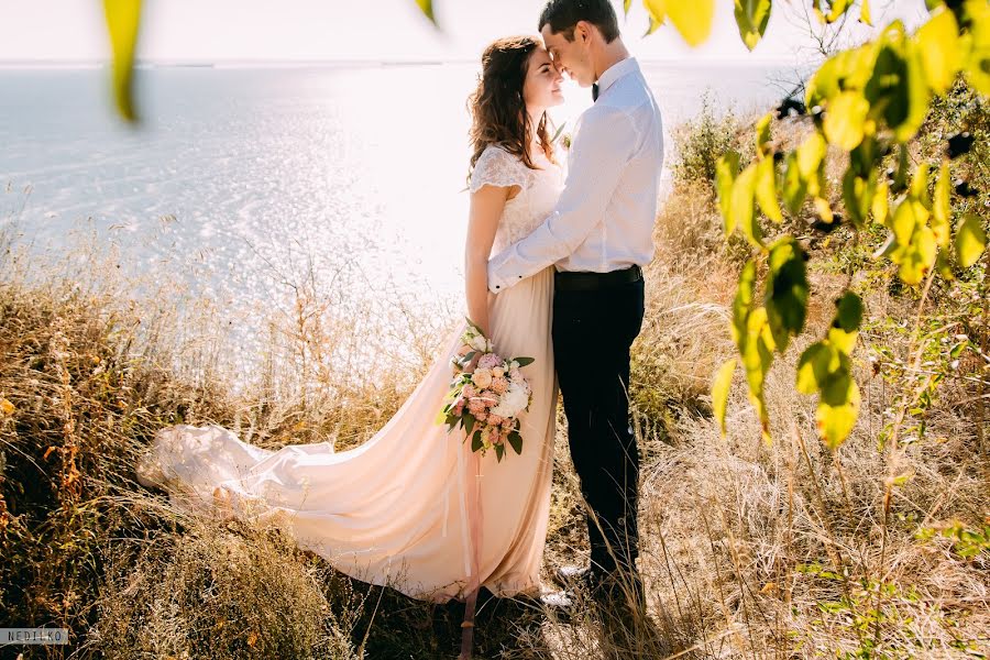 Photographe de mariage Oleg Nedilko (nedilko). Photo du 10 novembre 2016