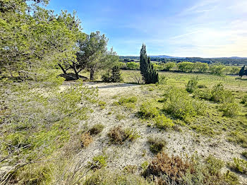 terrain à Sigean (11)