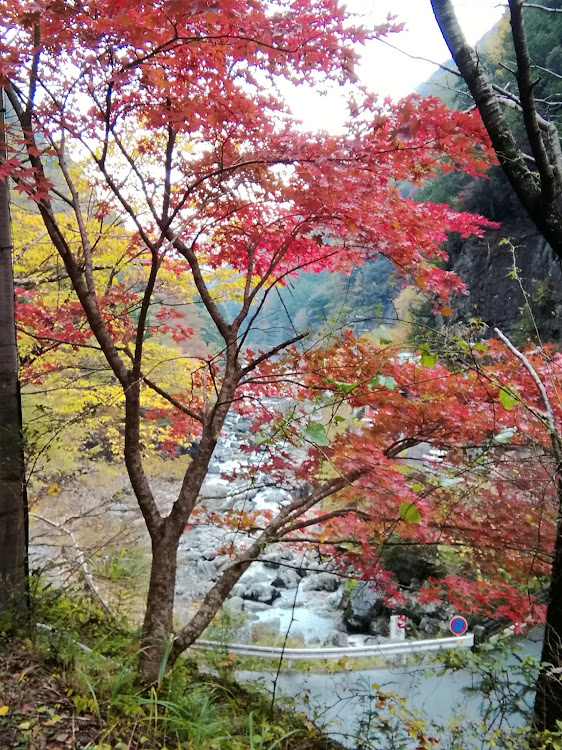 の投稿画像12枚目