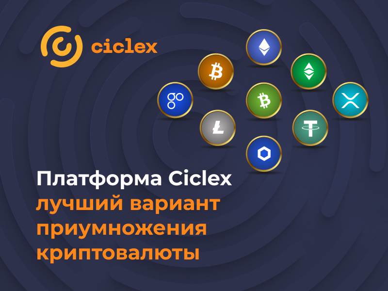 Платформа Ciclex: отзывы, услуги, возможности компании