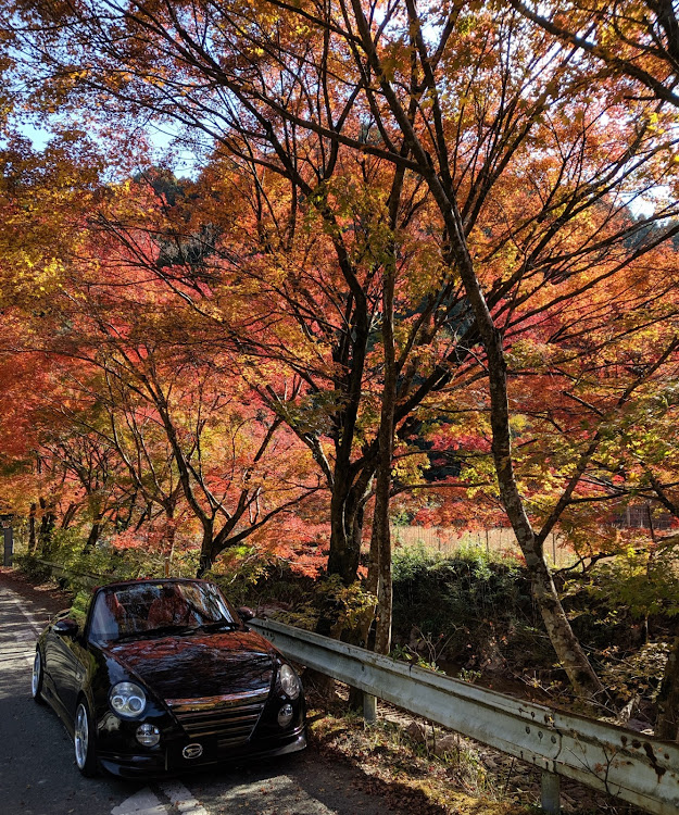 の投稿画像2枚目