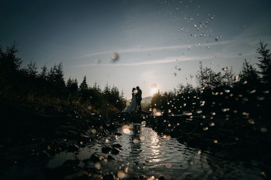 Fotografo di matrimoni Pasha Tovtin (ptovtyn). Foto del 8 febbraio 2019