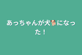 あっちゃんが犬🐕になった！