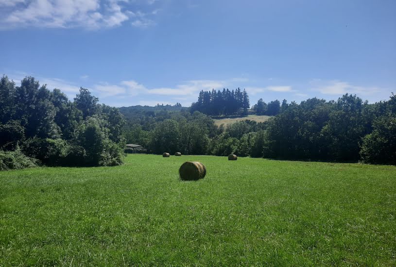  Vente Terrain à bâtir - 7 430m² à Noailhac (81490) 