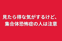 見たら得な気がするけど、集合体恐怖症の人は注意