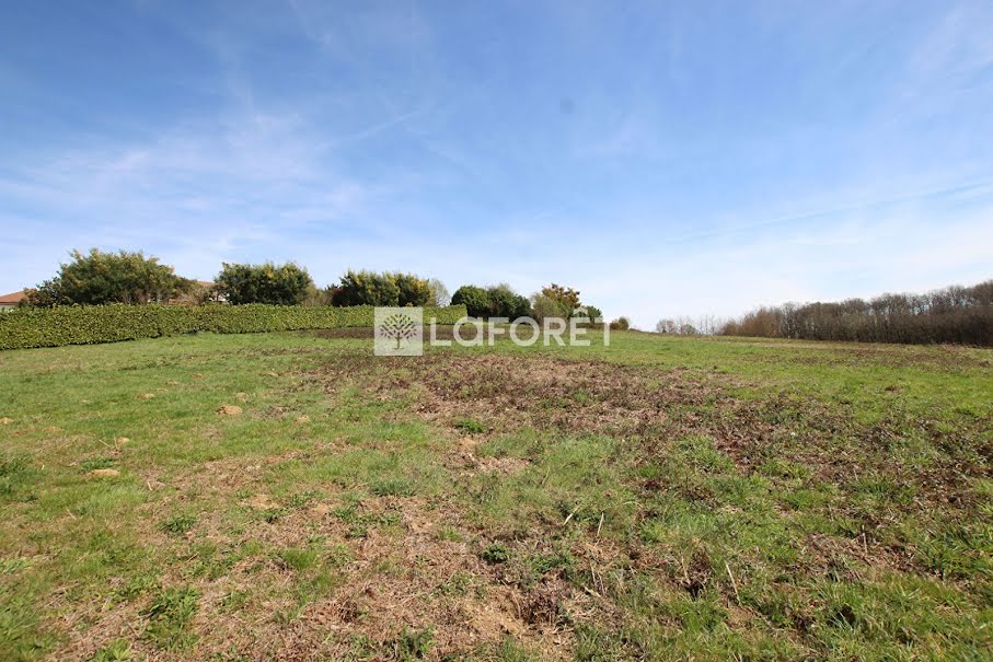 Vente terrain  4916 m² à Orthez (64300), 76 800 €