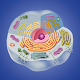 Cell biology Download on Windows