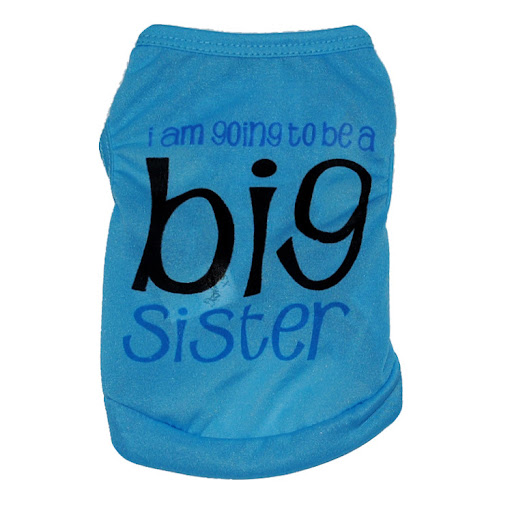 Title 7, Comfortable Polyester Ultra-Thin Breathable Pet...