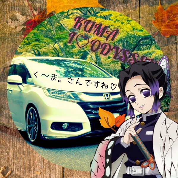 オデッセイのフォロワーさんのアイコンカスタマイズ・胡蝶しのぶversionに関するカスタム事例の投稿画像5枚目