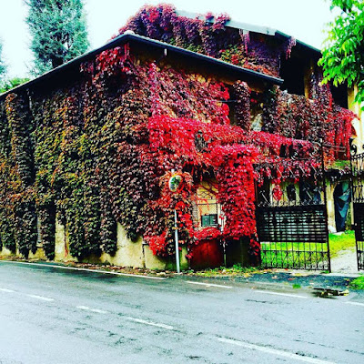 Red House di mattiacano94