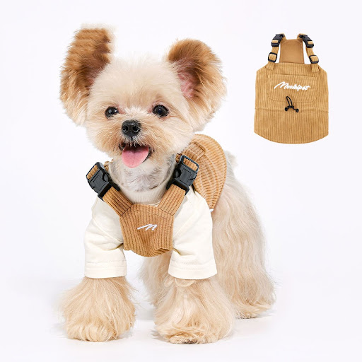 Title 3, PET Tooling Strap for Small and Medium-sized Do...