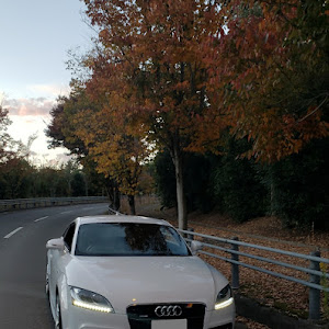 TT