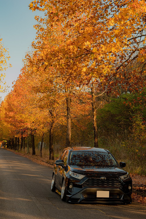 RAV4の#RAV4・エアサスはモテるらしい・紅葉ドライブ・airmextに関するカスタム事例の投稿画像3枚目