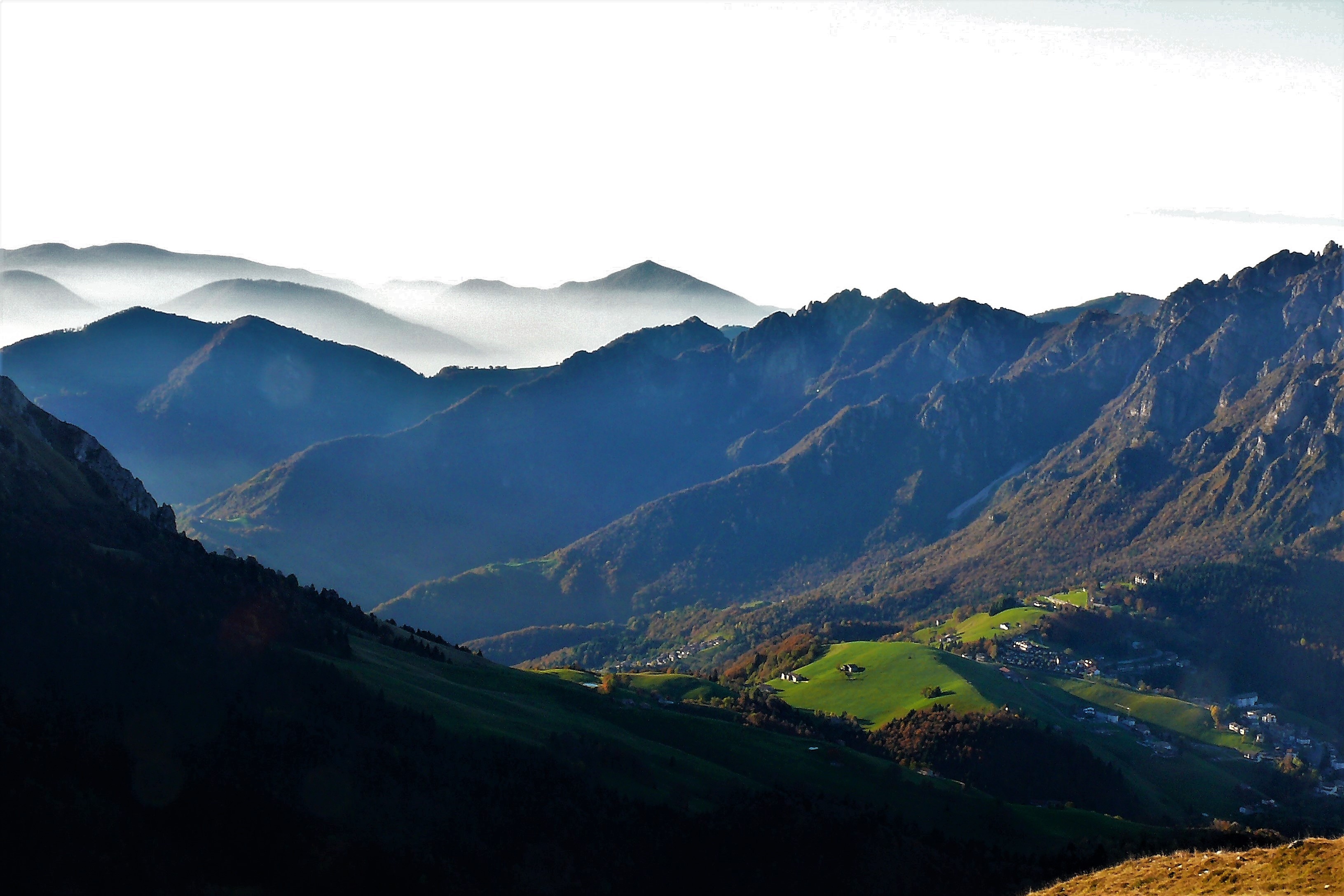 Ultimo verde... di cuore