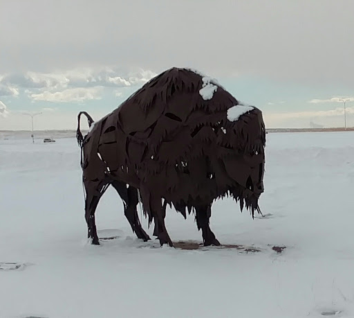 The Buffalo