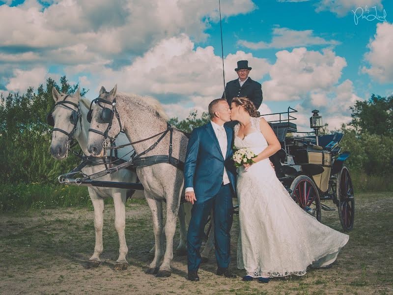 Svatební fotograf Pia Lindstrom (pialind). Fotografie z 30.března 2019