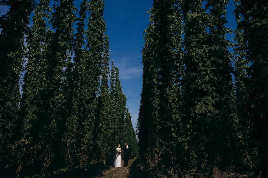 Wedding photographer Ivan Mischuk (77miv77). Photo of 8 September 2018