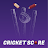 Live Cricket Score : Scoreblox icon