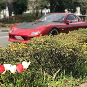 RX-7 FD3S 前期